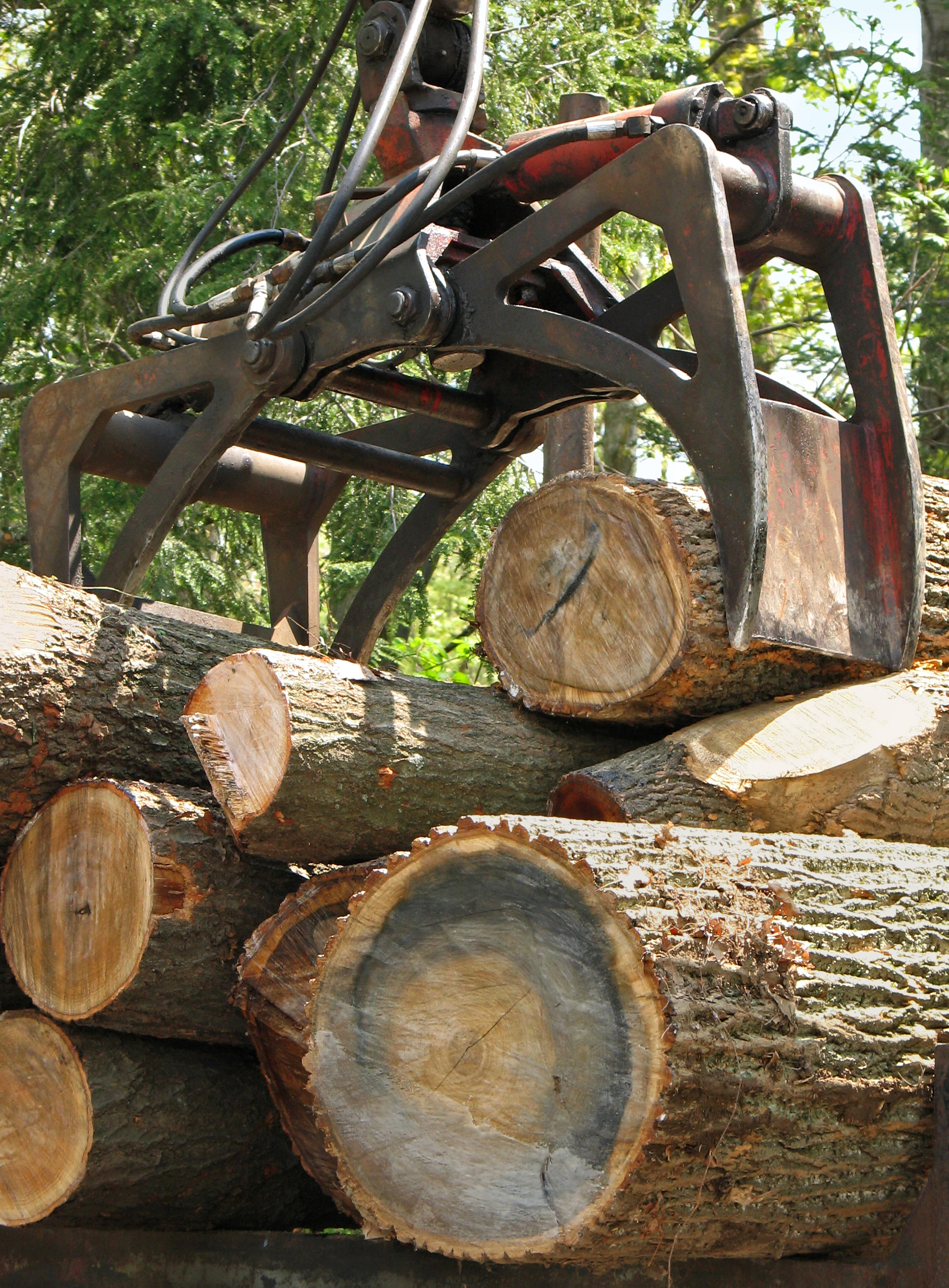 Shutterstock 12600475