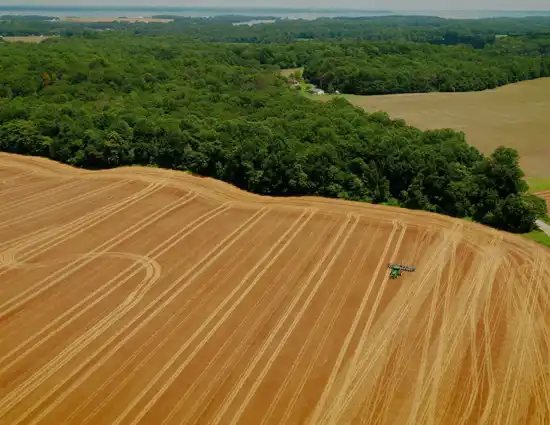 Aerial View Open Field
