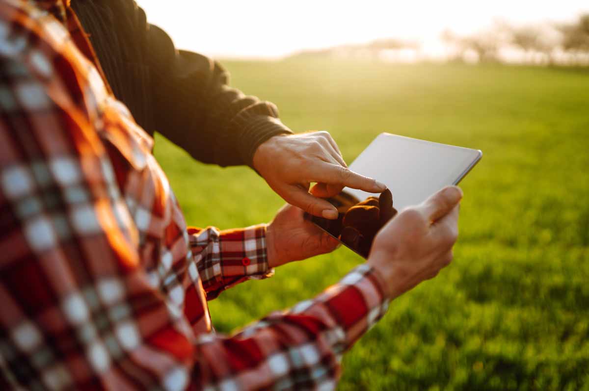Farmers With Tablet In The Field