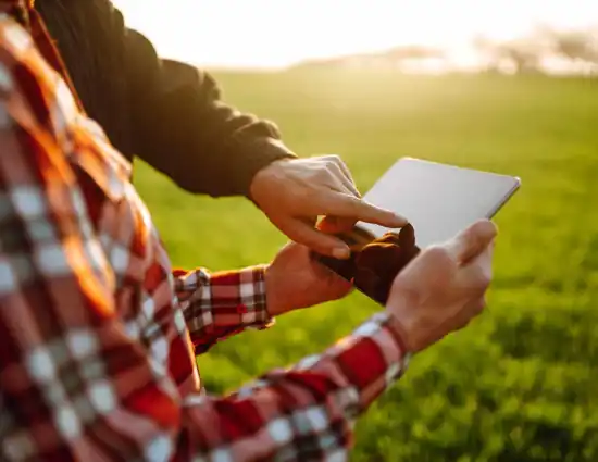Farmers With Tablet In The Field