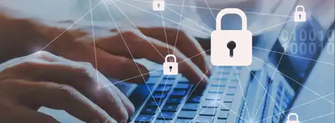 Shutterstock 1202221816