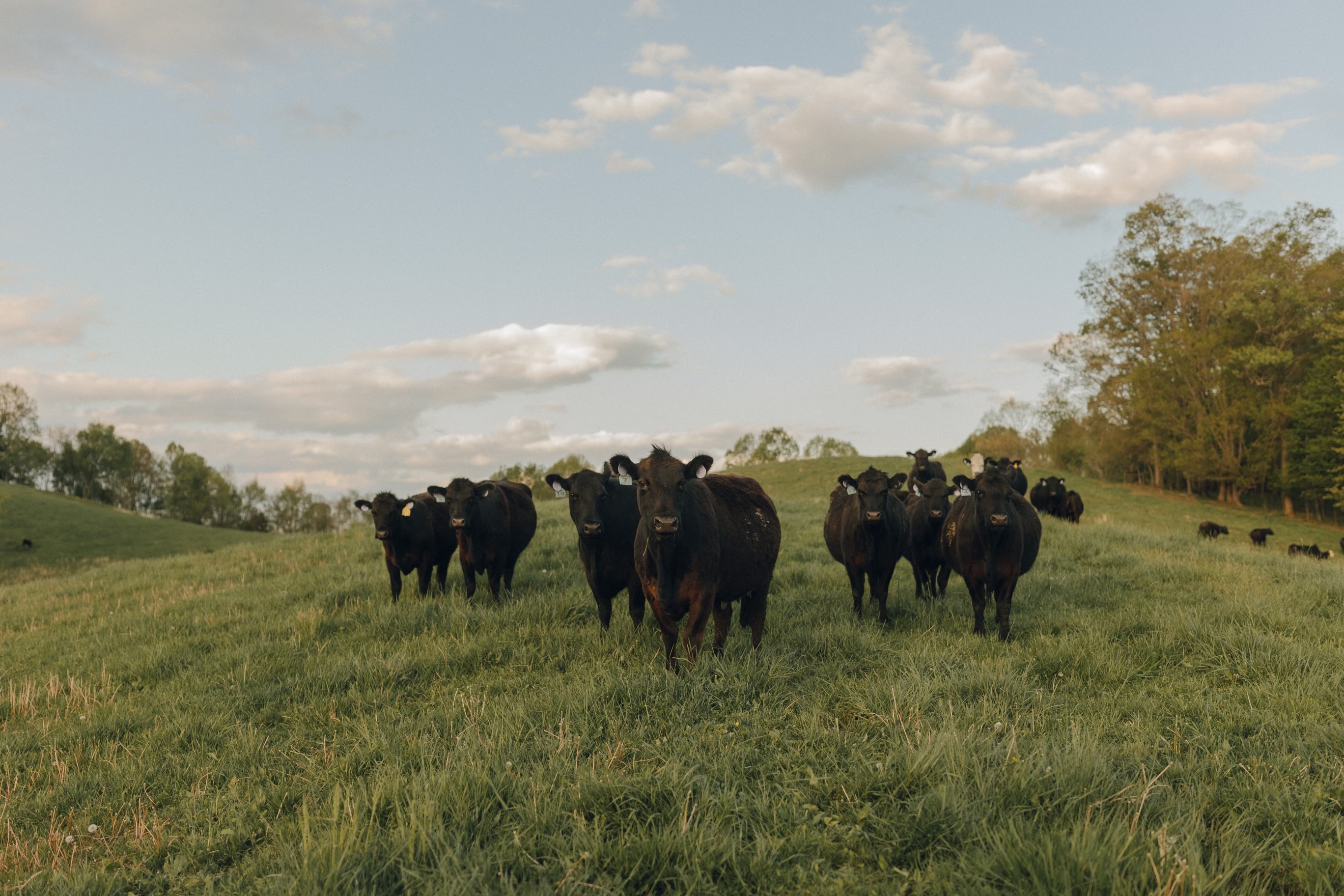 Carly Crutchfield IMG 0267