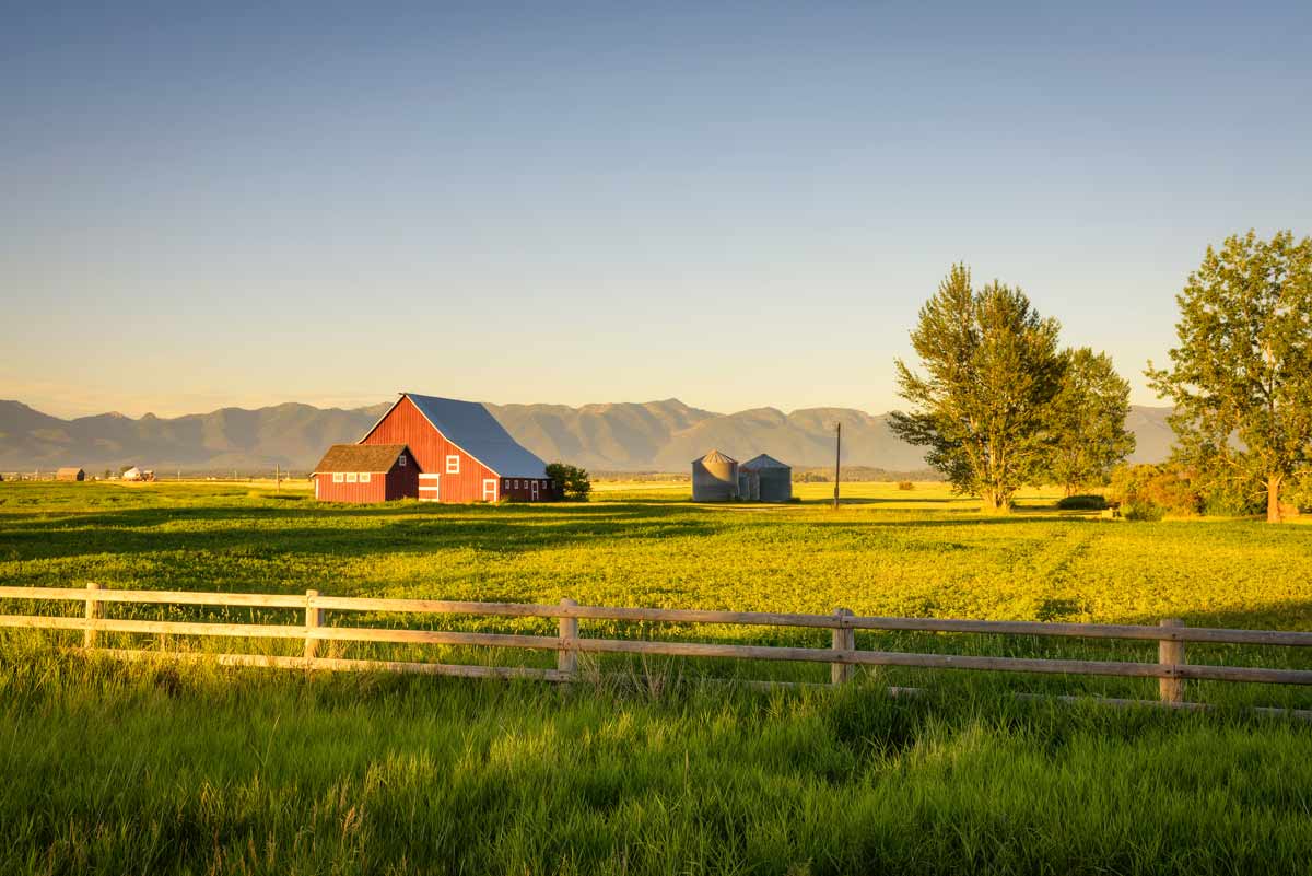 Red Barn In The Field