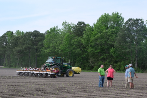 Nelson Powell and others watching row crop operations
