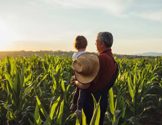 farmer-holding-young-son-amongst-cornfield