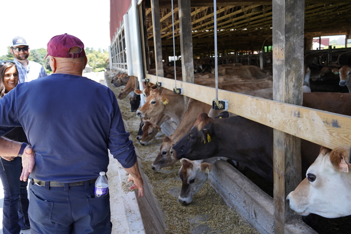 Dutchess Dairy Farm in Rural Retreat, Virginia