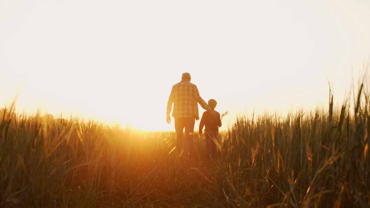 man and son walking in field during sunset