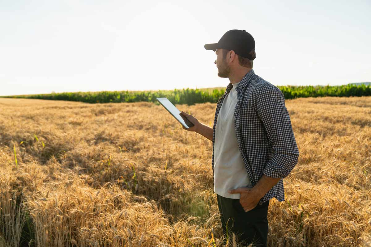 Man Holding Phone In Middle Of Field