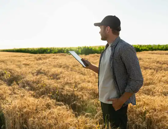 Man Holding Phone In Middle Of Field