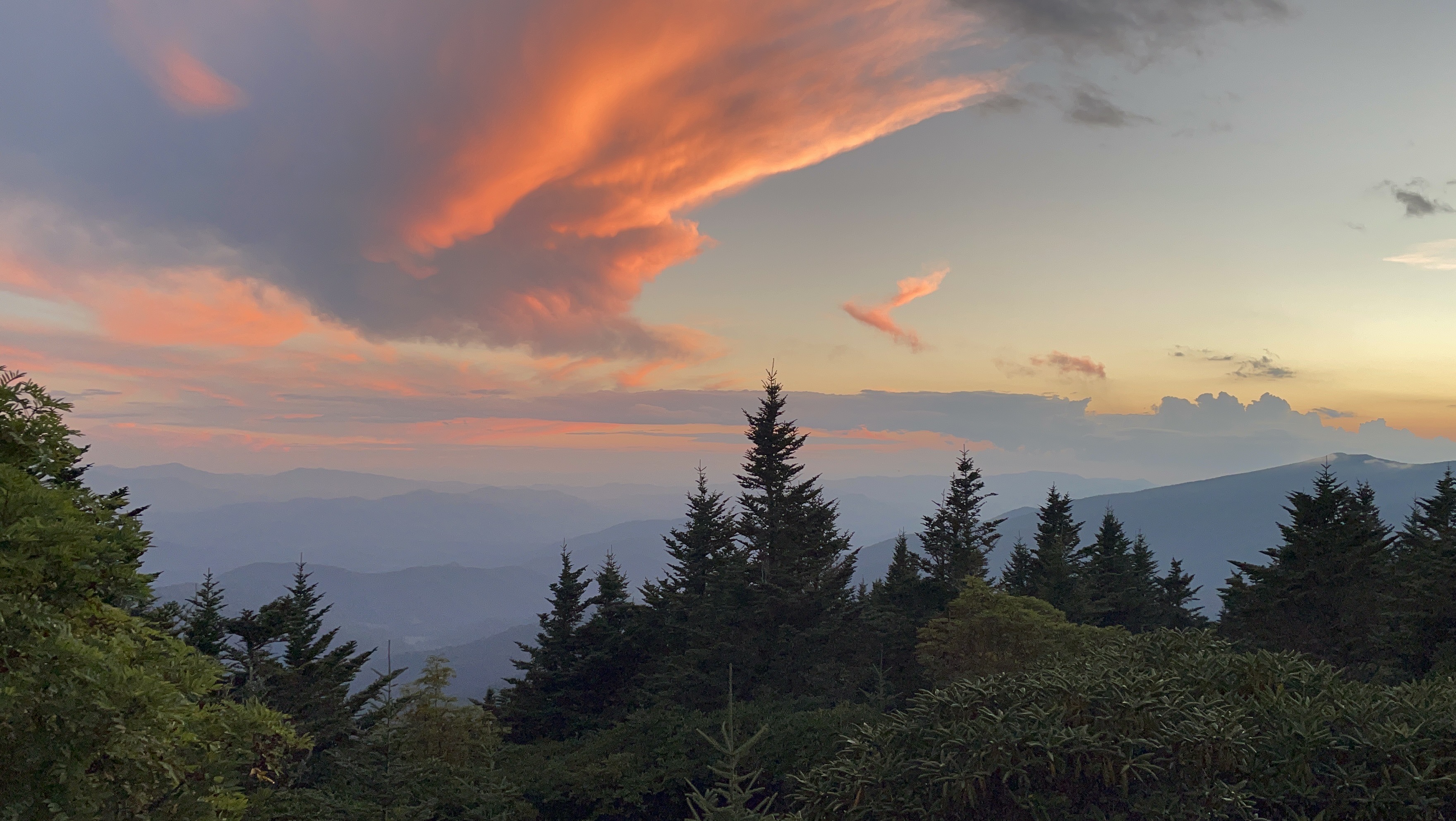 Maranda Schill IMG 1342 Original