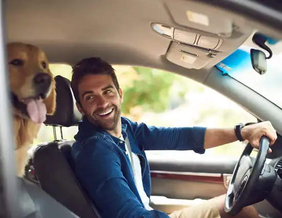 Man Driving With His Golden Retriever